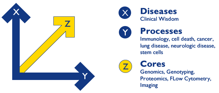 Axis of Research at Johns Hopkins