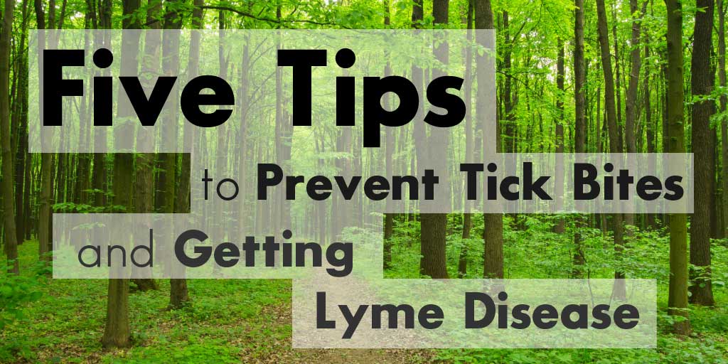 Preventing Tick Bites and Lyme Disease