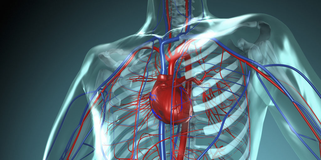 Advanced Echo Detection of Heart Disease in Scleroderma