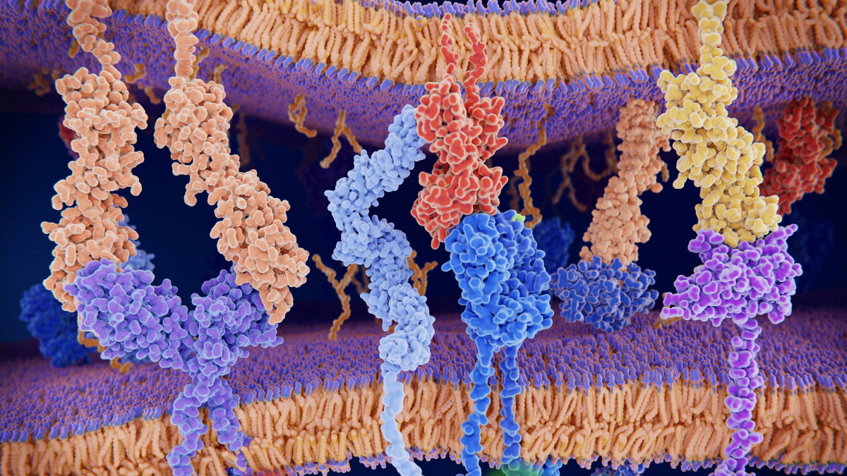 Hot spots in Topo protein drive shared autoimmune responses in scleroderma patients